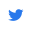 twitter-icon